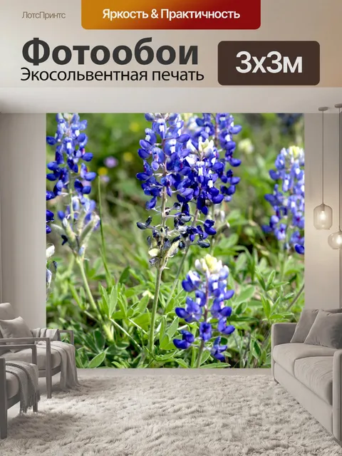 Фотообои Техас Bluebonnets