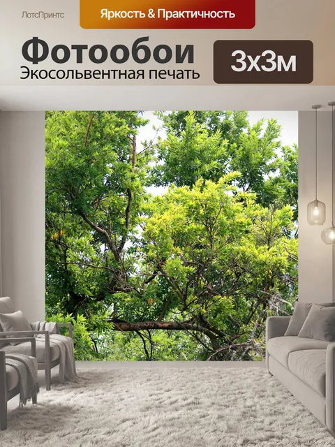 Фотообои дерево с листвой и сухостоя