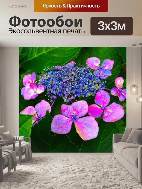 Фотообои Гортензия