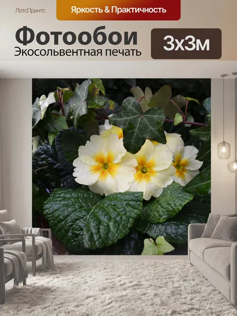 Фотообои белые цветы