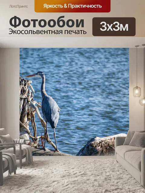 Фотообои Голубая цапля