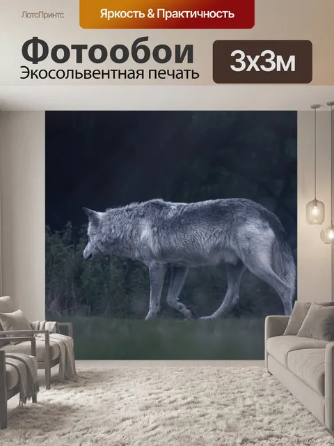 Фотообои Волк