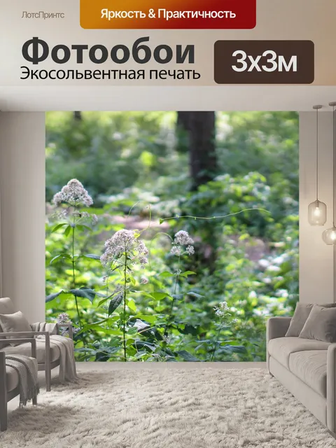 Фотообои Деревья