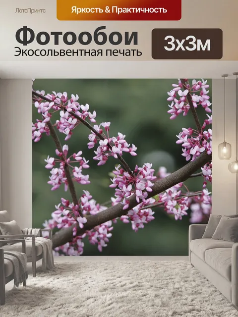 Фотообои Редбад
