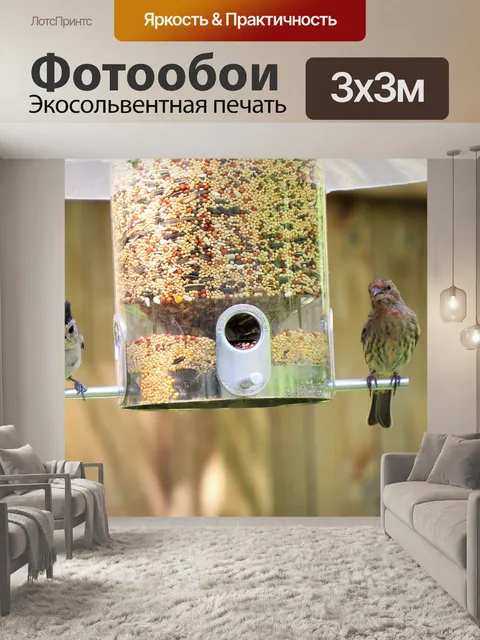 Фотообои Птицы