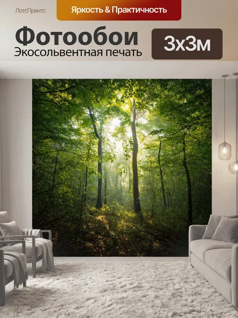 Фотообои лес с мягким светом, пробивающимся сквозь листву, создающим волшебное ощущение