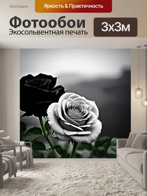 Фотообои розы в стиле боке, черные и белые розы на фоне живописных пейзажей, элегантная и художественная атмосфера