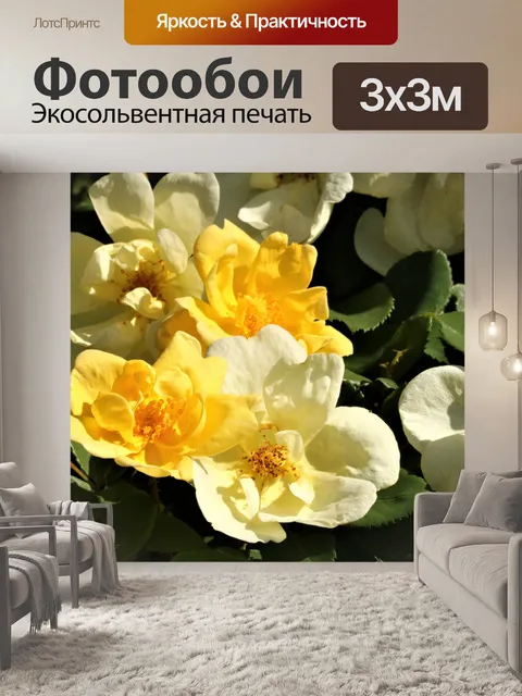 Фотообои Желтые розы крупным планом