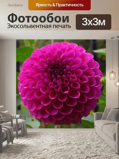 Фотообои Цветок
