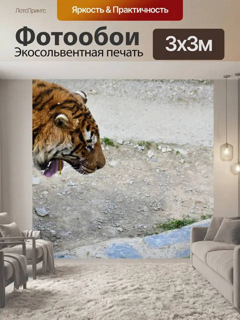 Фотообои Тигр