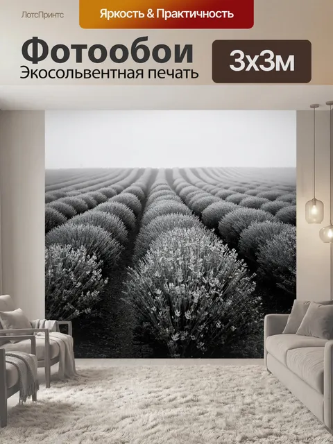 Фотообои туман в стиле черно-белый, лавандовые поля, покрытые легким туманом, создавая атмосферу нежности