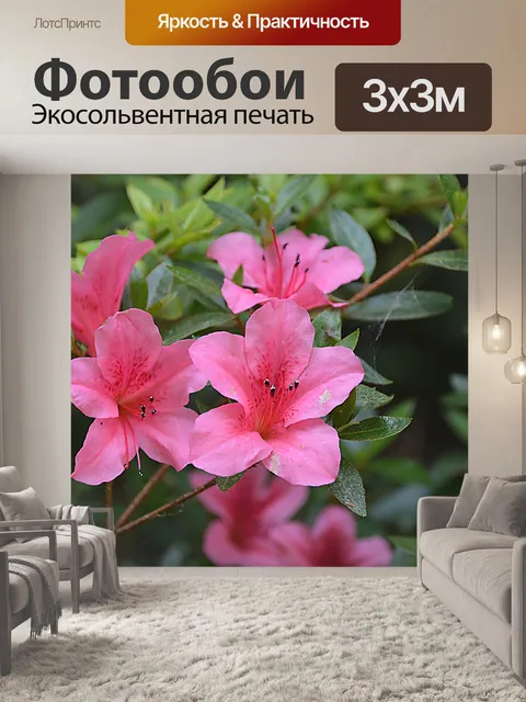 Фотообои Цветение
