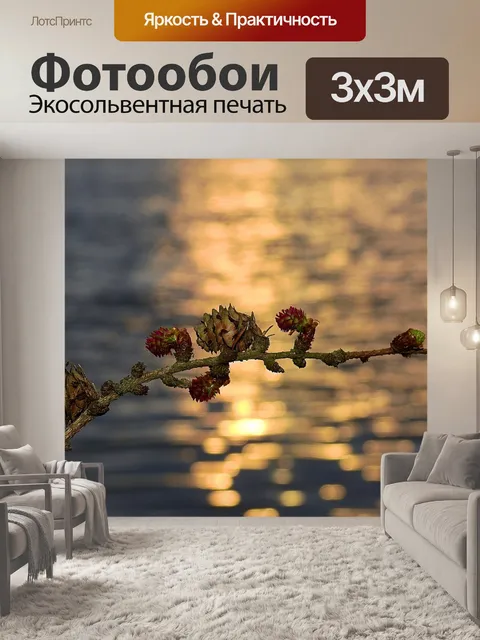 Фотообои Веточка