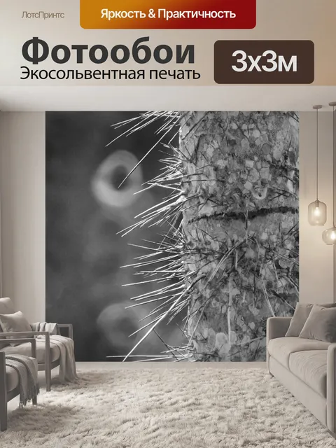 Фотообои Природа