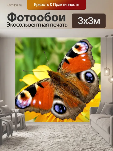 Фотообои Бабочка