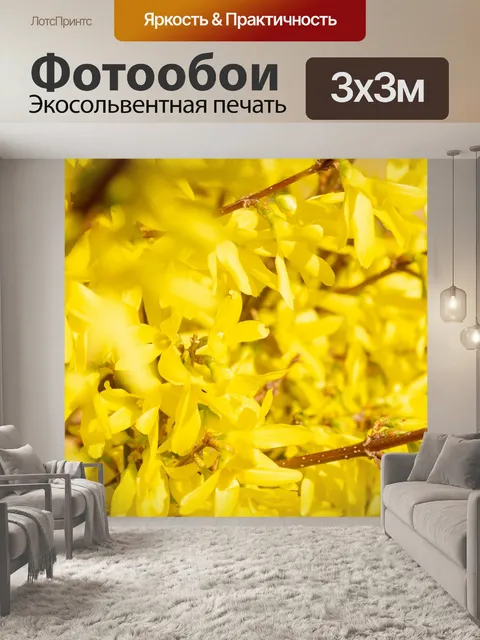 Фотообои Forsythia