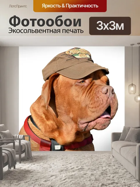 Фотообои Собака