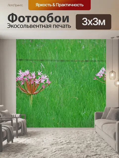 Фотообои гроздья розовых цветов в поле