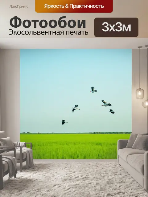 Фотообои китай: бескрайние зеленые поля с журавлями, парящими в ясном небе, создающие атмосферу свободы и покоя
