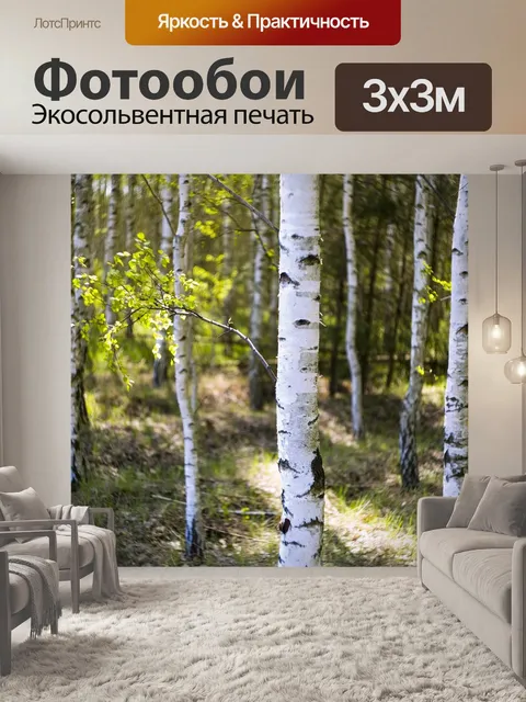 Фотообои Береза