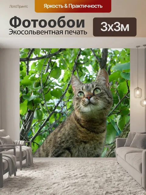 Фотообои Кошка