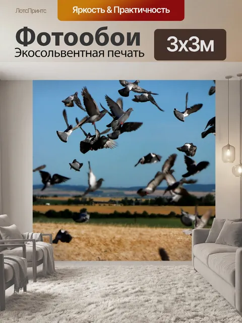Фотообои Птицы