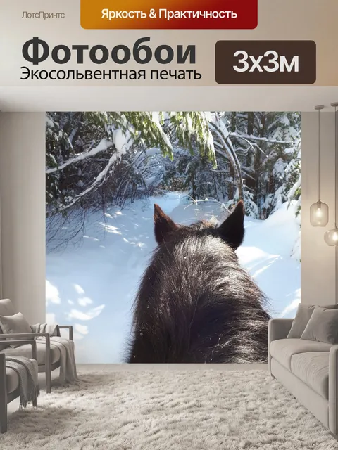 Фотообои Верховая езда