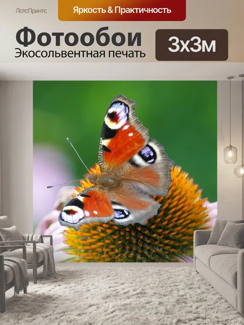 Фотообои Бабочка