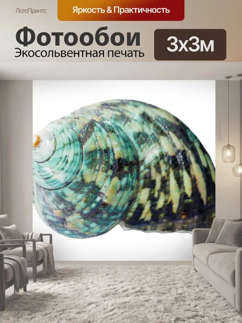 Фотообои Морская ракушка