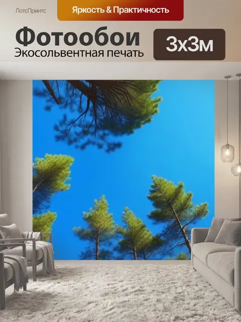 Фотообои сосны и голубое небо