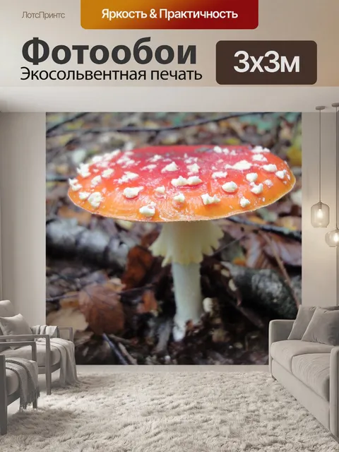 Фотообои Осень