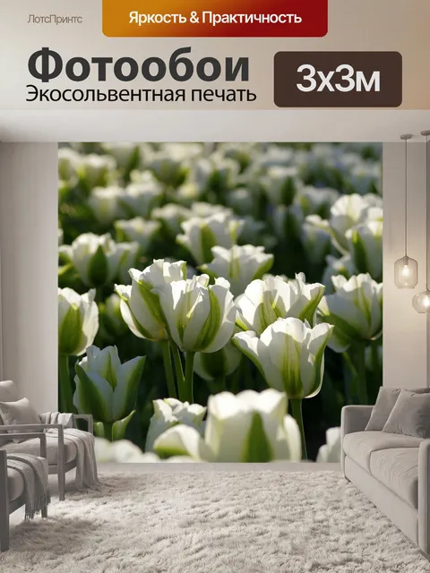 Фотообои Тюльпаны