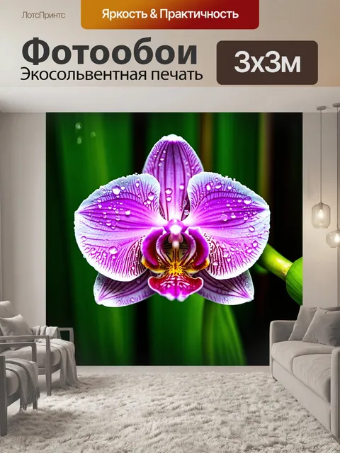 Фотообои орхидея с каплями воды, выглядывающими из-за ее сладкого аромата