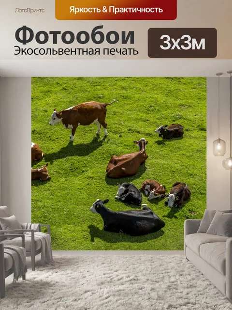 Фотообои корова