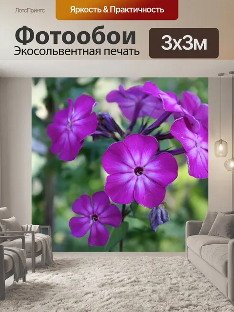 Фотообои Фиолетовый