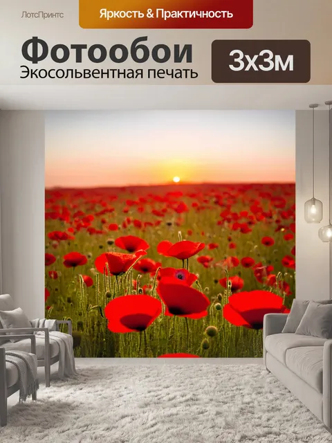 Фотообои поле красных маков на закате