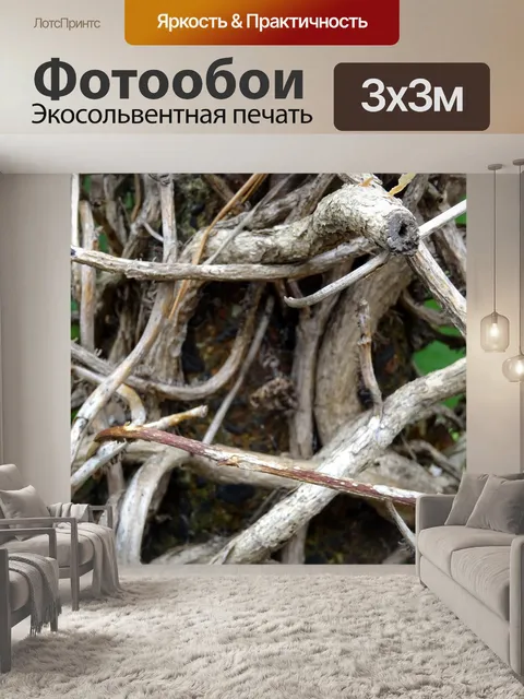Фотообои История ветвей и ветвей