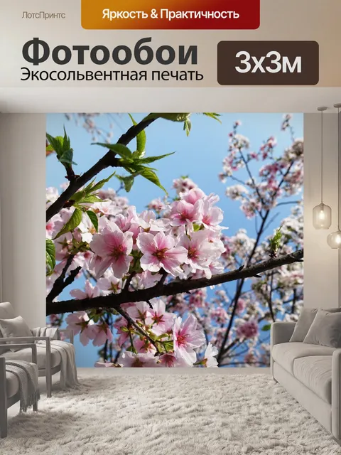 Фотообои Сакура