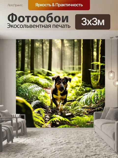 Фотообои с собакой, исследующей лес, кругом деревья и папоротники, солнечные лучи пробиваются сквозь листву