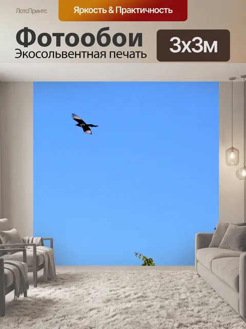 Фотообои Сорока