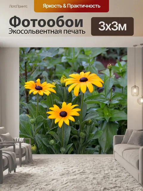 Фотообои Глаз Сьюзен
