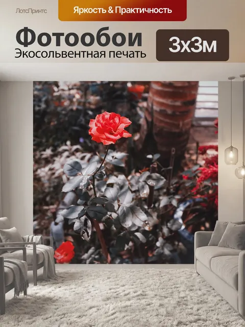 Фотообои Цветы