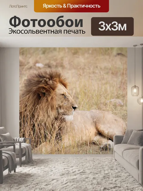 Фотообои Лев