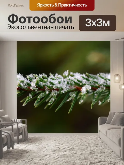 Фотообои Ветвь