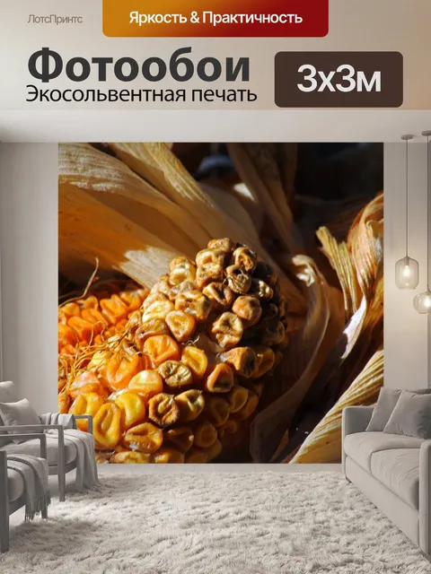 Фотообои сморщенные зерна кукурузы в початках