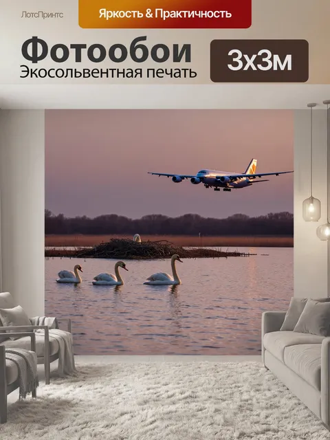 Фотообои самолет, покидающий гнездо лебедей у озера на рассвете, спокойная атмосфера