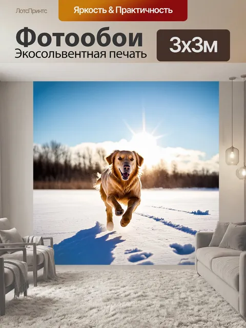 Фотообои золотистый ретривер, бегущий по снежному полю с ярким небом на фоне