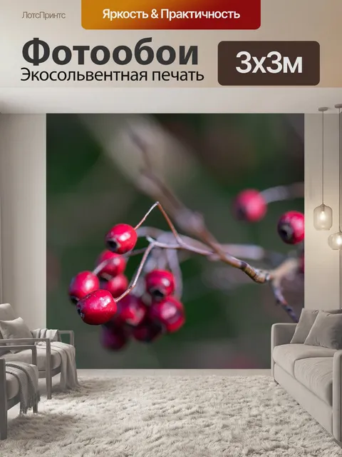 Фотообои Ягода