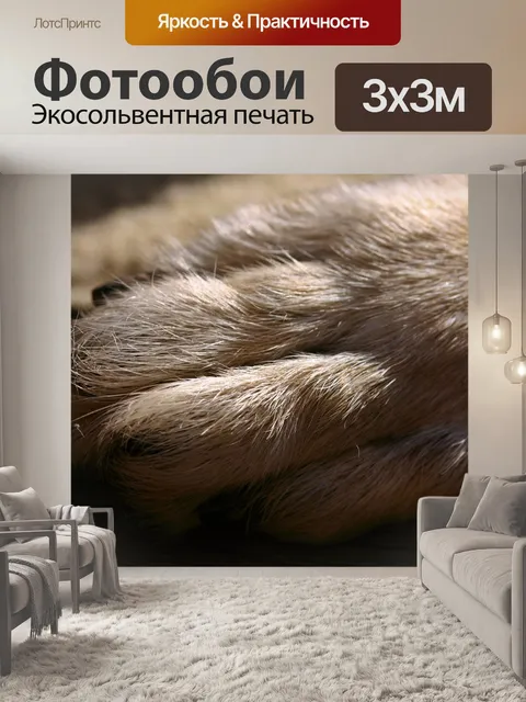 Фотообои Лапа собаки
