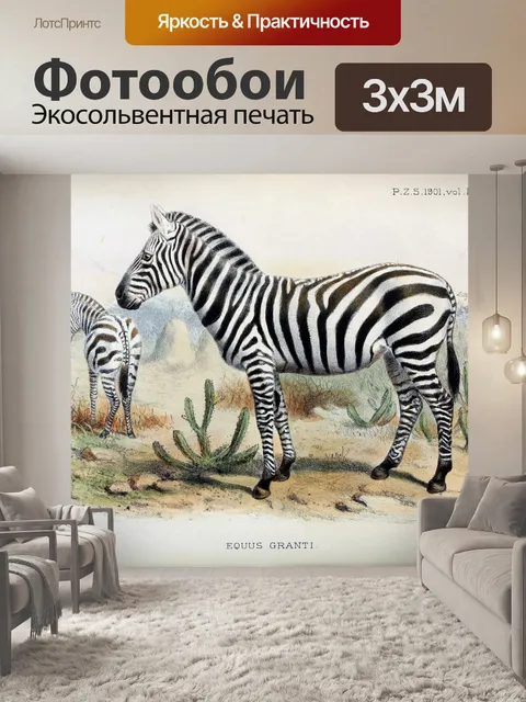 Фотообои Винтажная художественная иллюстрация зеб